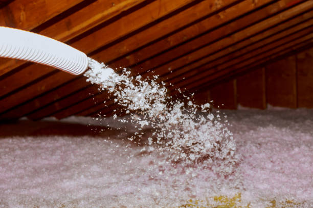 Best Eco-Friendly Insulation in Richfield, UT