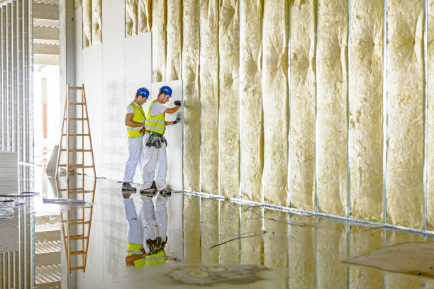 Best Cellulose Insulation in Richfield, UT